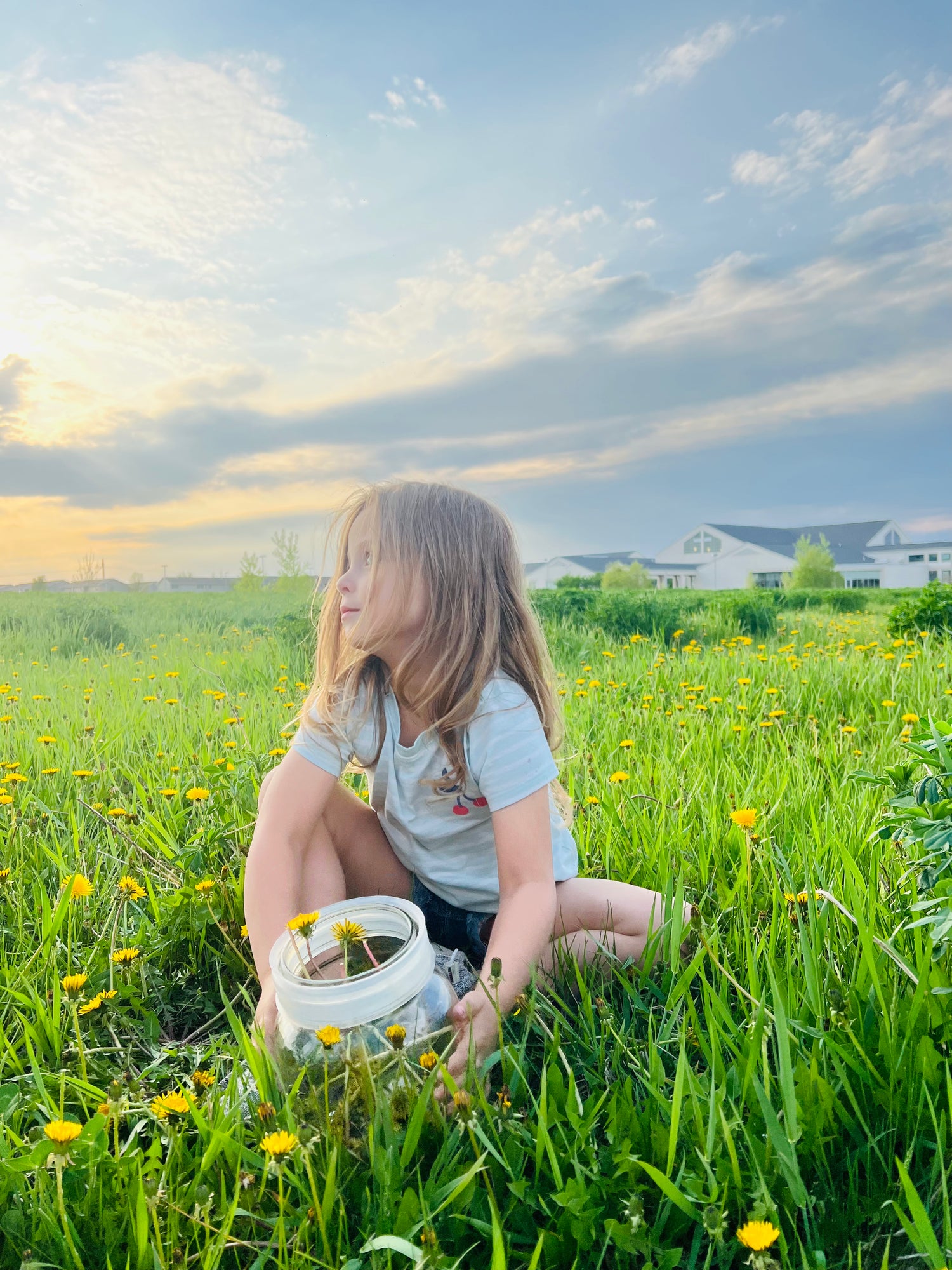 Sustainable plant based healing