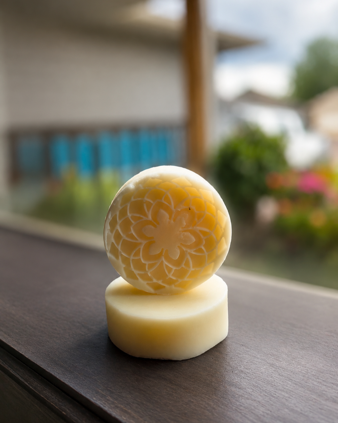 Organic Apricot Berry Prickly Pear Lotion Bar (70g)